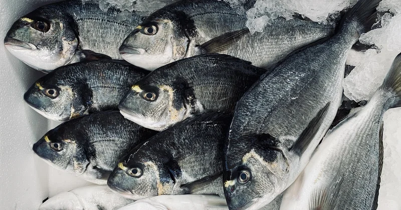 L'expérience que personne ne liste : l'atelier cuisine + marché