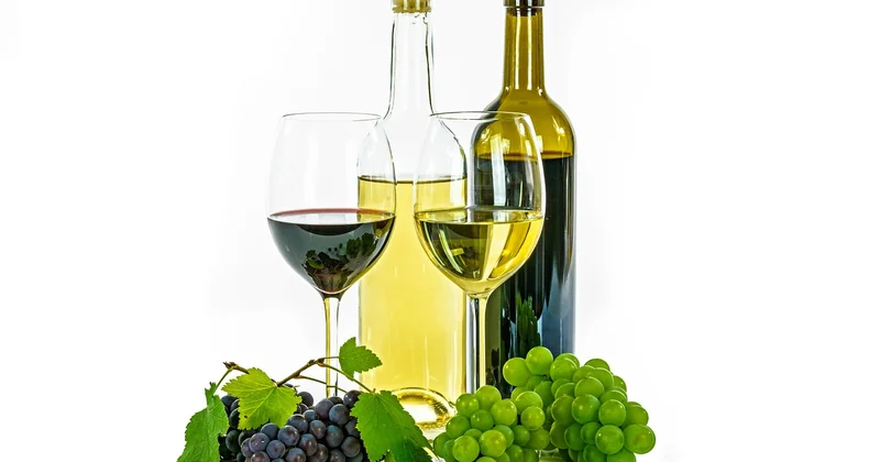 Bordeaux, Toscane, Alsace, Douro : comment choisir sa région