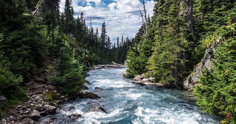 Comprendre les classes de rivière avant de réserver