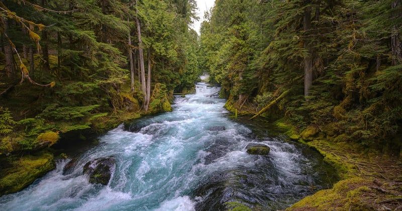 Kayak sur les rivières sauvages d'Europe : le guide des aventures inoubliables