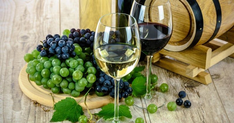 Routes des vins en Europe : un voyage de dégustation inoubliable