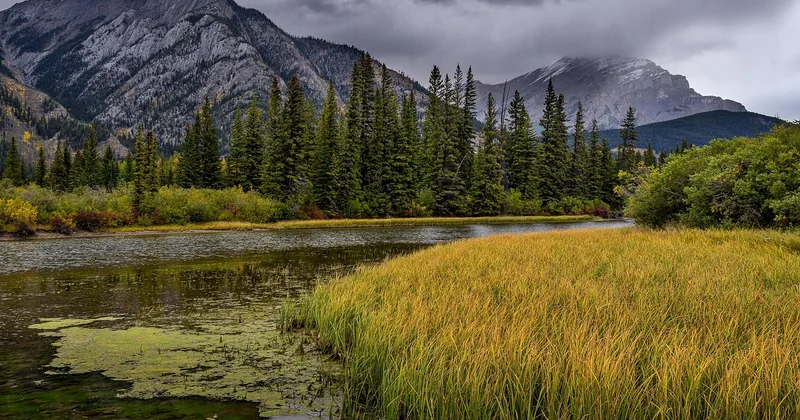 Choisir son parc national : un comparatif sans langue de bois