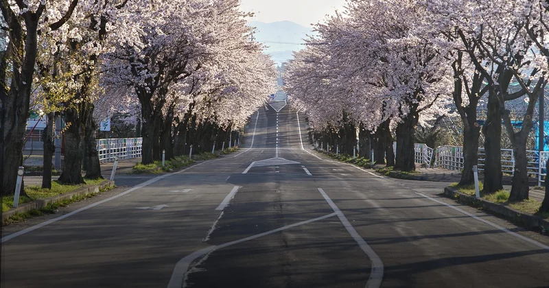 Budget : circuit organisé ou voyage en autonomie ?